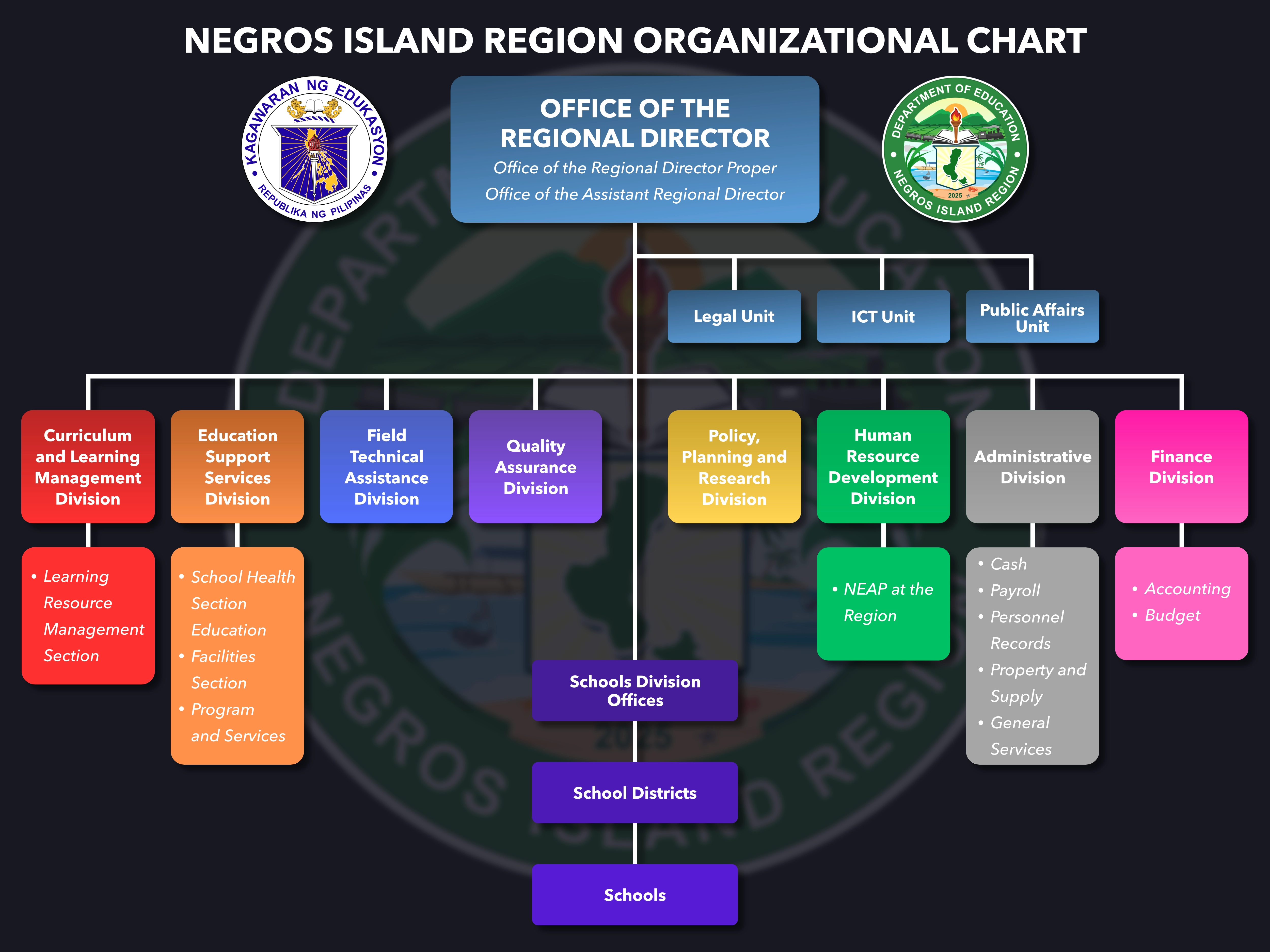 Negros Island Region Organizational Chart